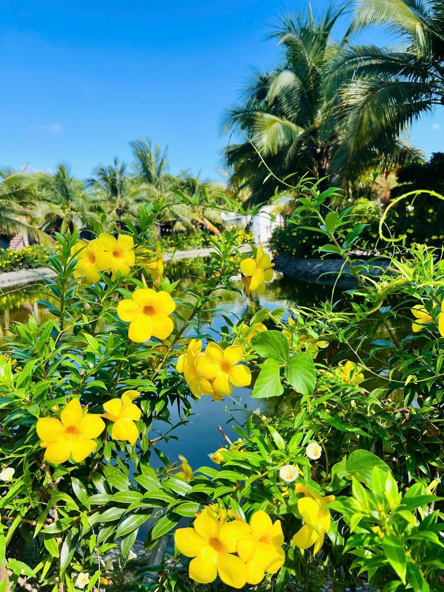 Ho Coc Park & Resort Xa Nhu Lam Zewnętrze zdjęcie