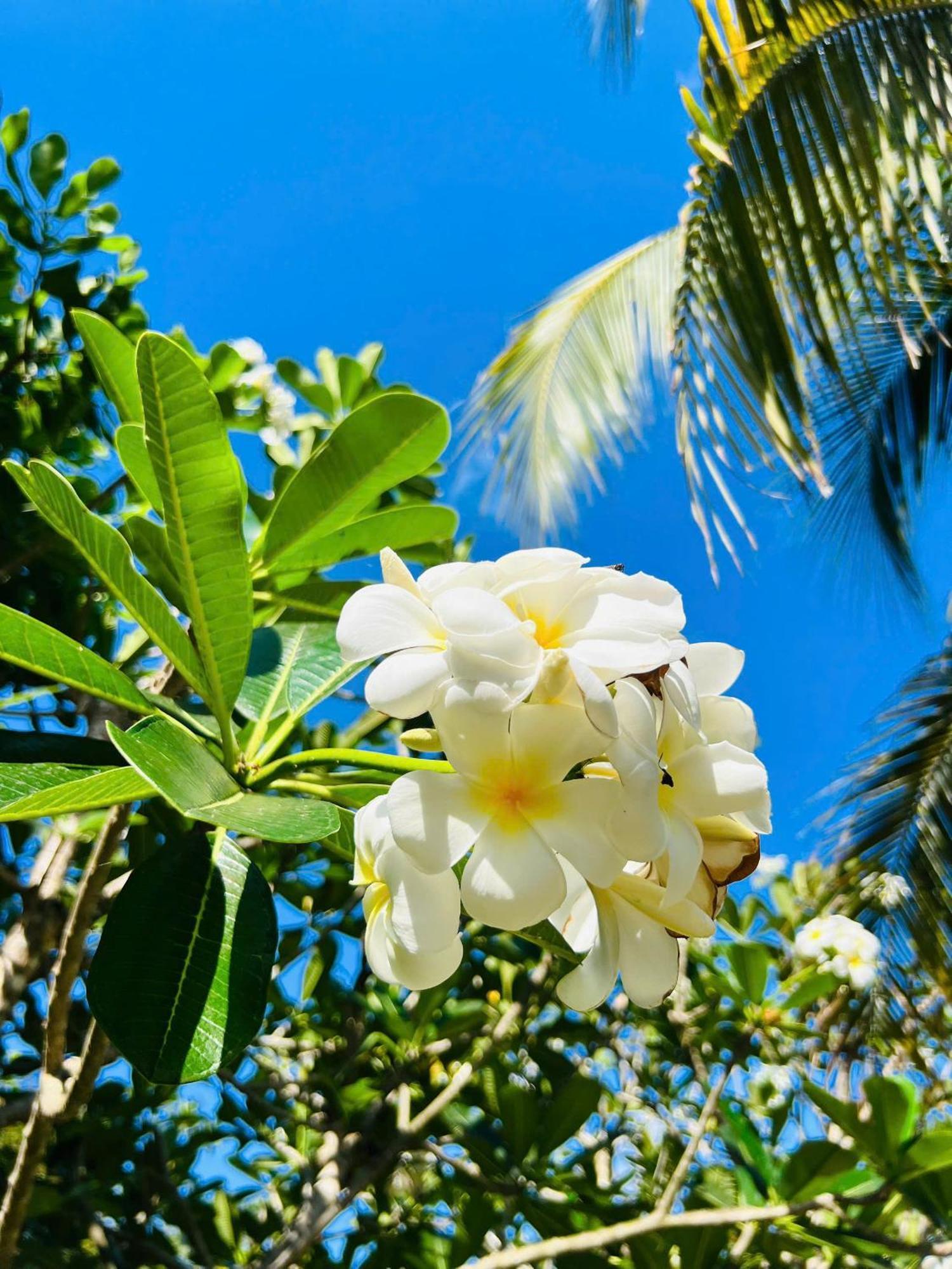 Ho Coc Park & Resort Xa Nhu Lam Zewnętrze zdjęcie